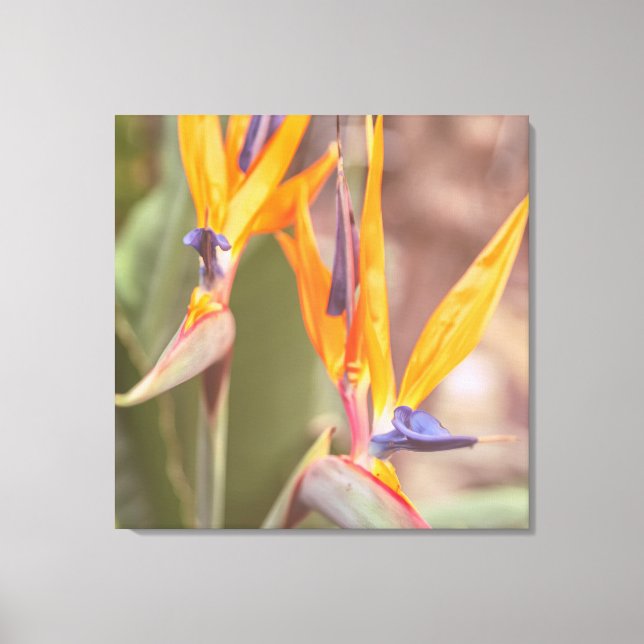 Toile Oiseau du Paradis (Recto)