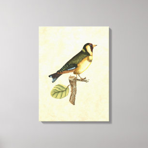 Toile Oiseau jaune et vert été perché sur une petite