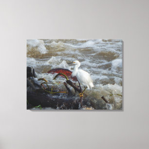 Toile OISEAU SAUVAGE N° 1 SUR CANVAS 20 "x 16"