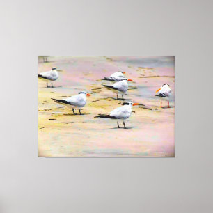 Toile Oiseaux de mer sur une rive tranquille