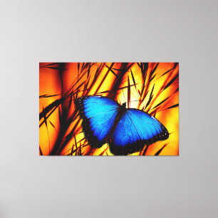 Toile Options Butterfly Art 39