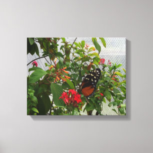 TOILE ORANGE BUTTERFLY