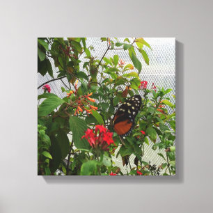 TOILE ORANGE BUTTERFLY