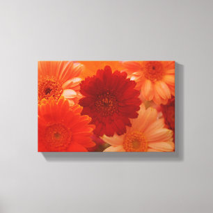 Toile Orange Daisy Flower Photo Canvas Wall Art Imprimer