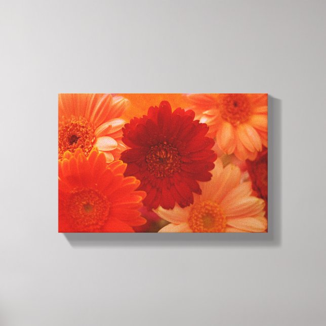 Toile Orange Daisy Flower Photo Canvas Wall Art Imprimer (Recto)