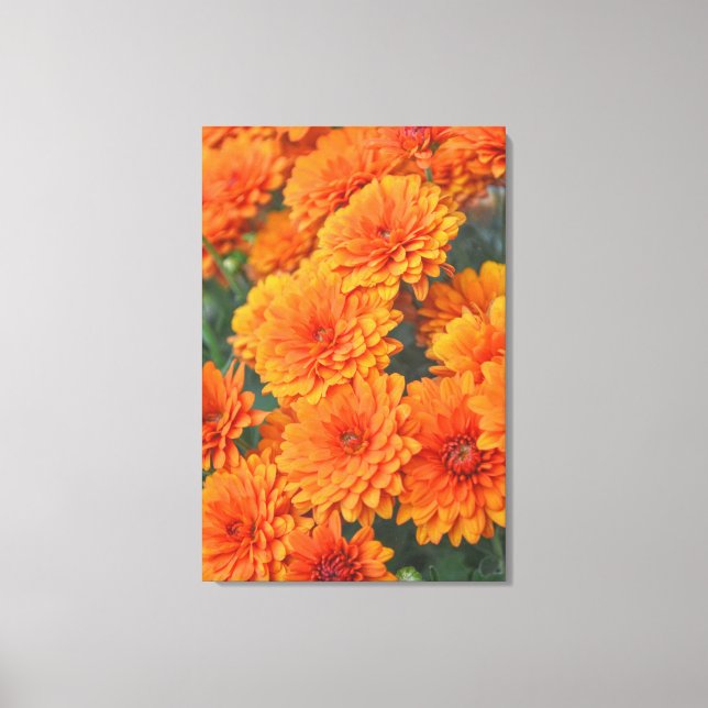 Toile Orange Garden Flowers Mums Autumn Art (Recto)