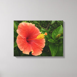 Toile Orange Hibiscus Fleur Tropical Floral