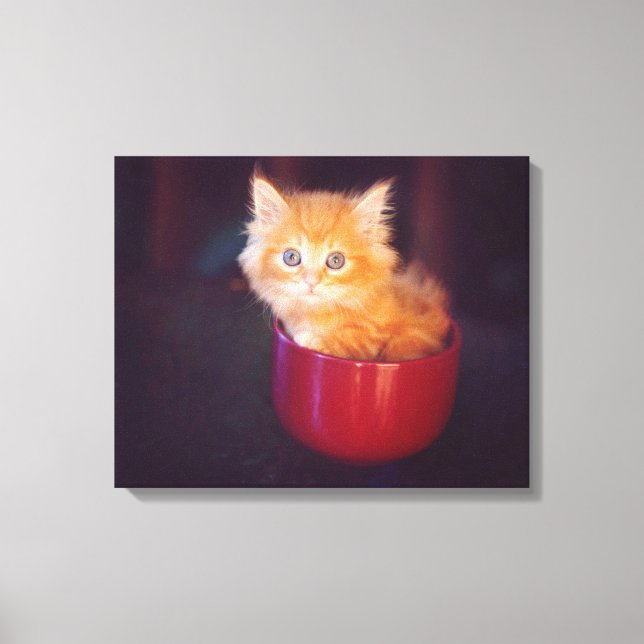 Toile Orange Kitten (Recto)