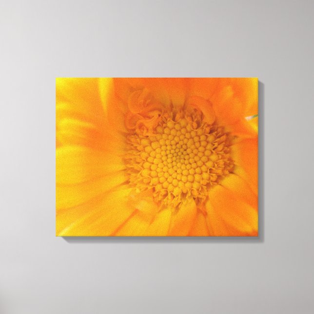 Toile Orange Marigold Macro Canvas Imprimer (Recto)