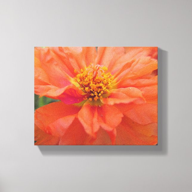 Toile Orange Portulaca (Recto)