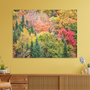 Toile Orange Red Bush