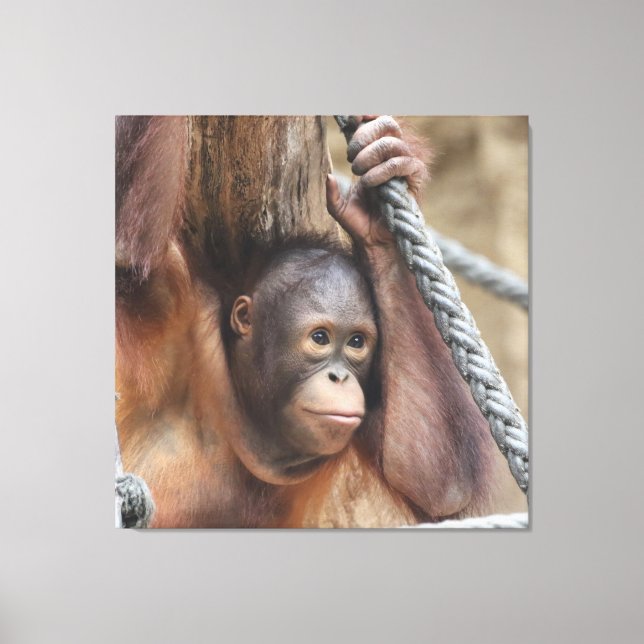 Toile OrangUtan 002 (Recto)