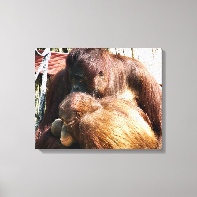 TOILE ORANGUTANS (Recto)