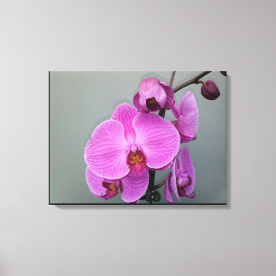 toile ORCHID ROSE