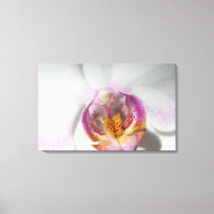 Toile Orchidée blanche avec violet et jaune