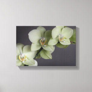 Toile Orchidée fleurit Élégante Humeur Chic