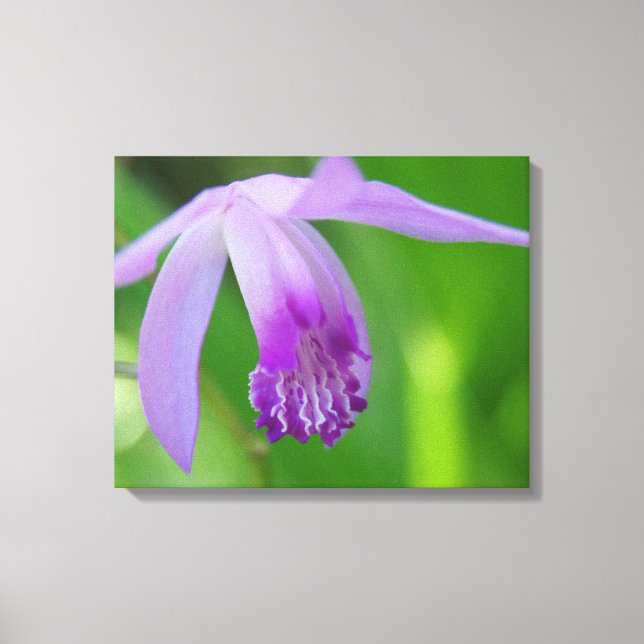 Toile Orchidée pour vous ! (Recto)