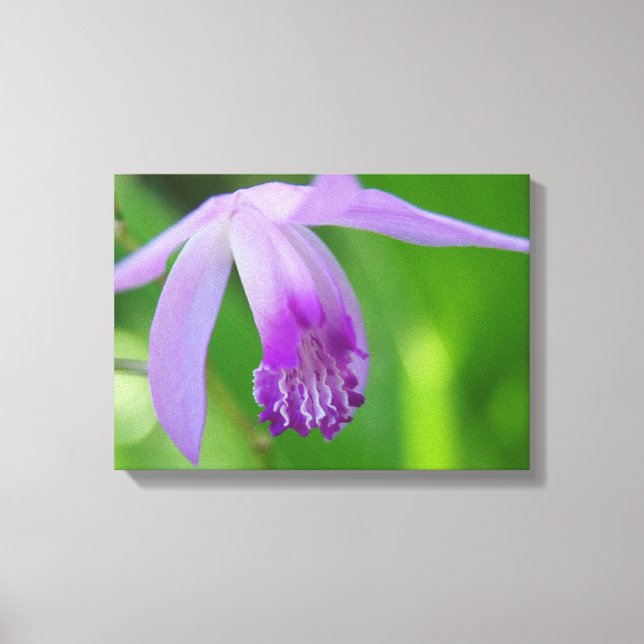 Toile Orchidée pour vous ! (Recto)