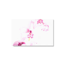 Orchidée rose