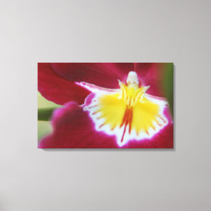 Toile Orchidée rouge et jaune