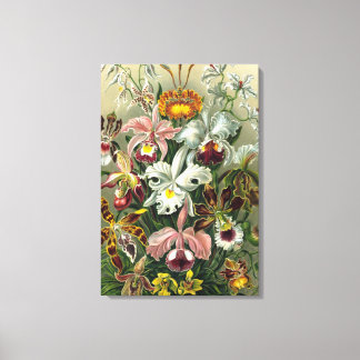 Toile Orchidées d'art - Formes d'art de la nature