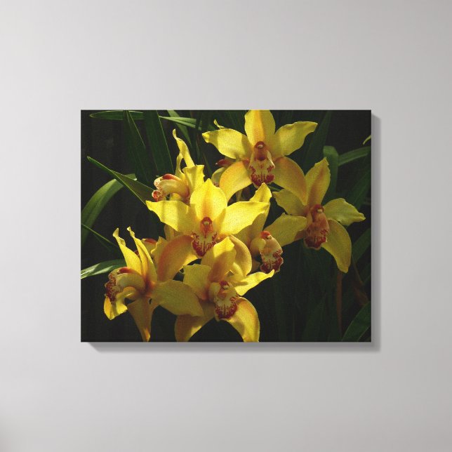 Toile Orchidées Jaunes Sunlit Floral (Recto)