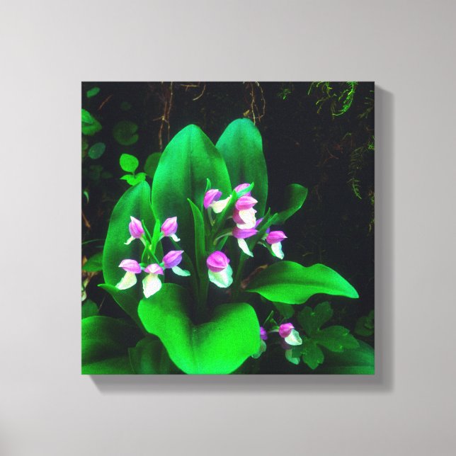 Toile Orchis Fleur sauvage (Recto)