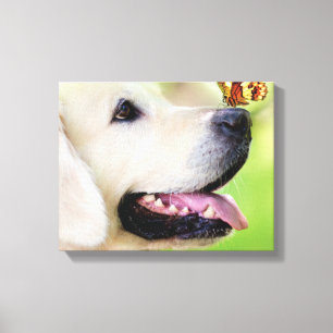Toile Oreiller À Lancer Du Labrador Et Du Papillon