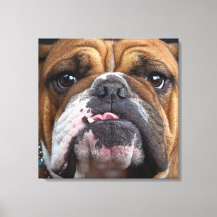 Toile Oreillers à lancer de Bulldog anglais