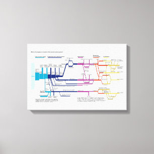 Toile Organigramme du système de justice pénale américai