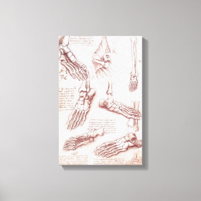 Toile Os de pied anatomiques humaines de Léonard de Vinc (Recto)