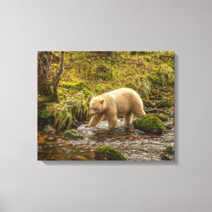 Toile Ours blanc cherche des poissons dans le ruisseau R