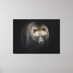 Toile Ours Brun Grizzly Animal Vie Sauvage Forêt Jungle