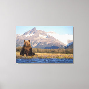 Toile ours brun, Ursus arctos, grizzli, Ursus