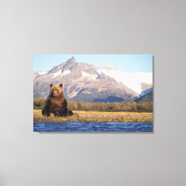 Toile ours brun, Ursus arctos, grizzli, Ursus (Recto)