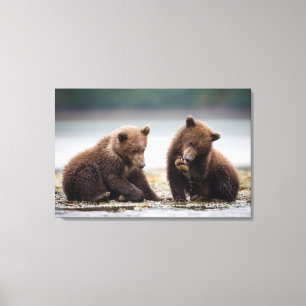 Toile Ours bruns oursons au bord du ruisseau