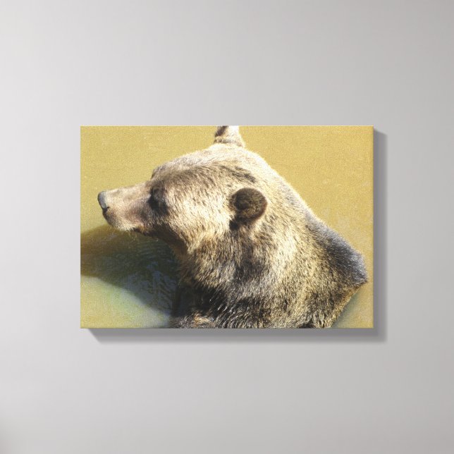Toile Ours grizzly (Recto)
