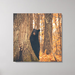 Toile Ours noir se tenant prêt un arbre