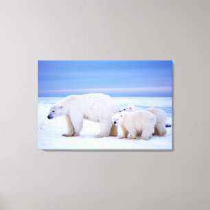 Toile Ours polaire femelle avec des oursons