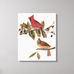 Toile Paire cardinale Audubon en amandiers sauvages