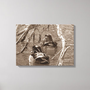 Toile Paire de canard à bois Sepia