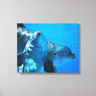 Toile Paire de Dauphins Curieux Galerie d'images Envelop