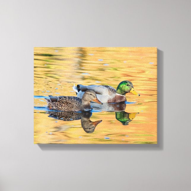 Toile Paire de Mallards (Recto)