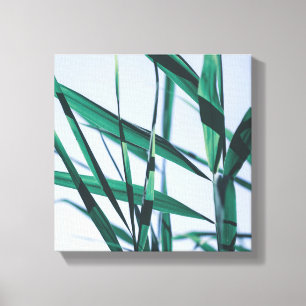 Toile Pale Pastel Green Gris Reeds