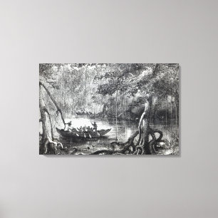 Toile Palétuvier Forest