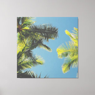 Toile Palm Feuilles Photo Tropical Summer Sky Retro Vibe
