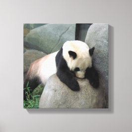 Toile Panda Canvas