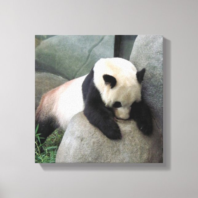 Toile Panda Canvas (Recto)