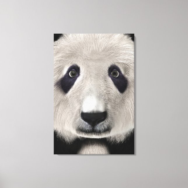 Toile Panda roux (Recto)