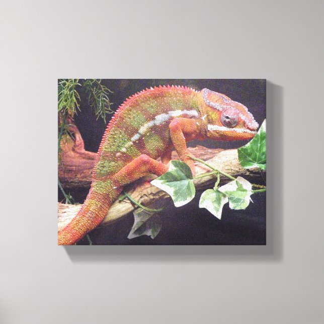 Toile Panther Chameleon (Recto)
